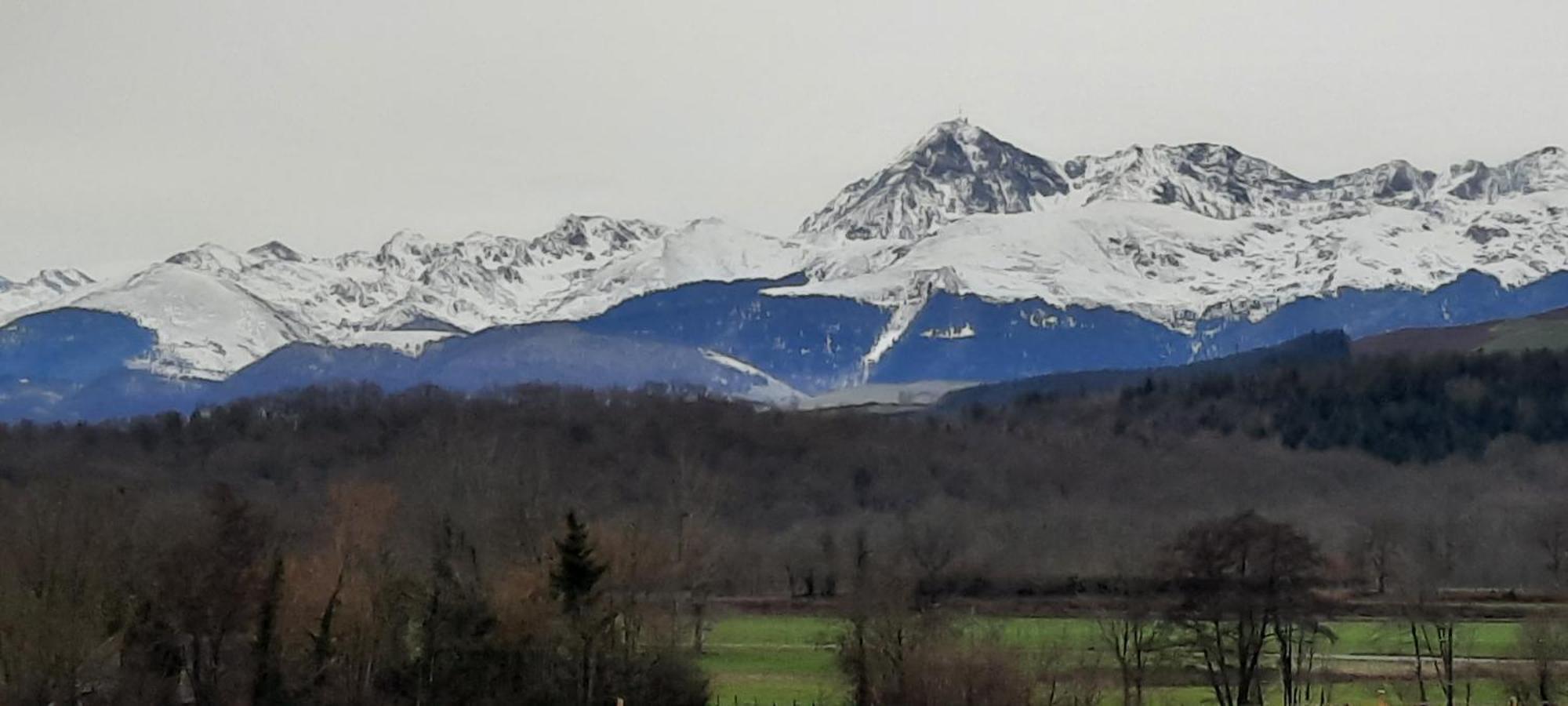 La Ferme Aux Fleurs Bed & Breakfast Ossun Bagian luar foto